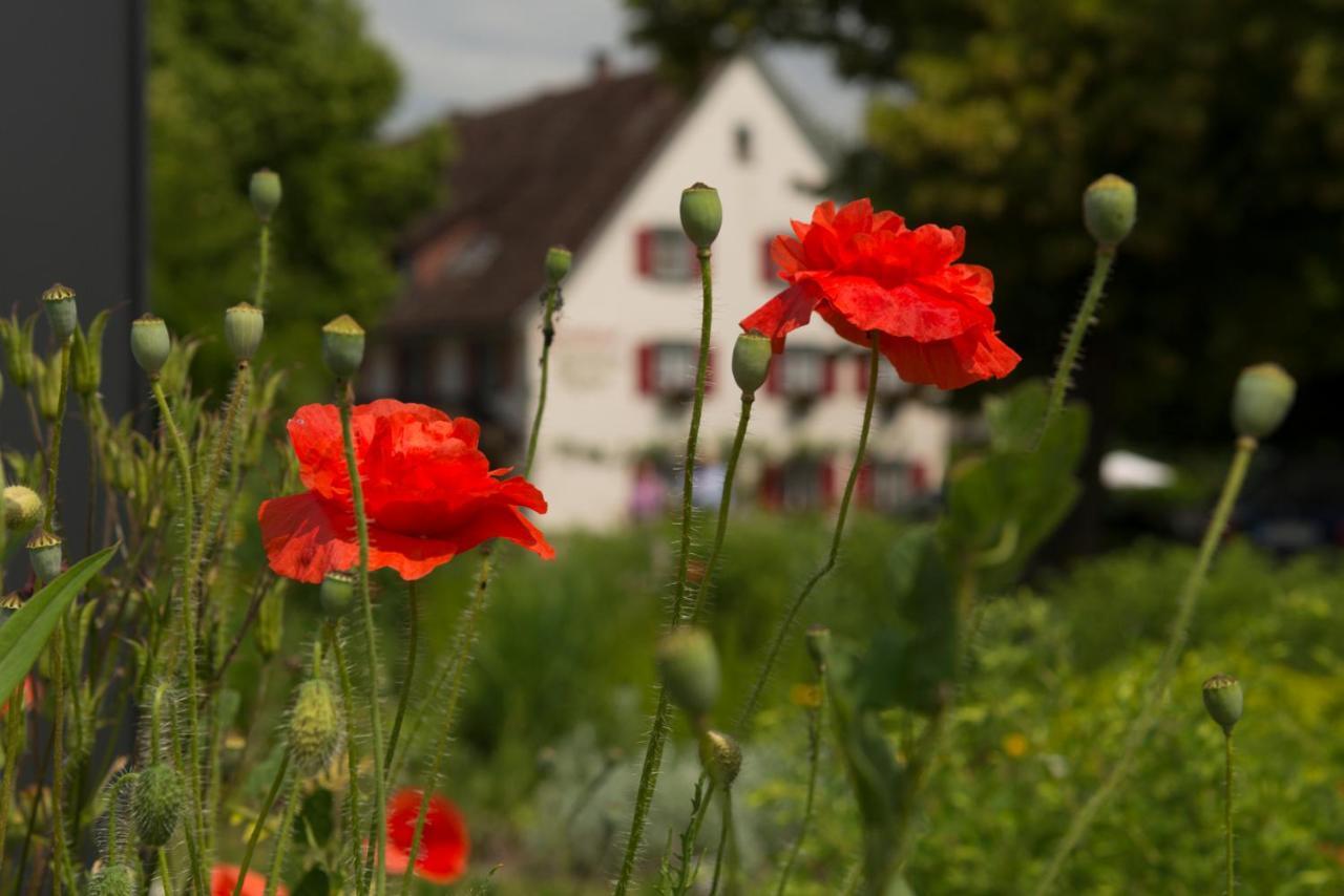 Landgasthof Keller Hotel Uberlingen Eksteriør billede